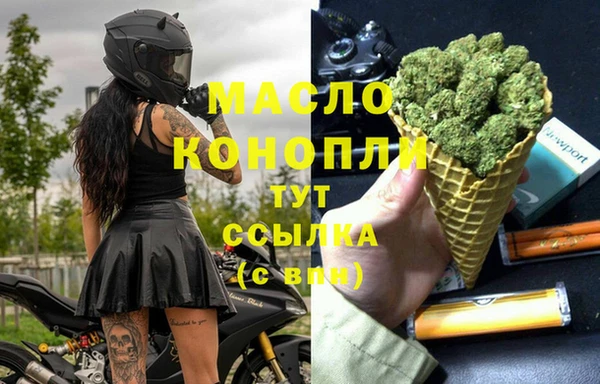 сатива Балахна